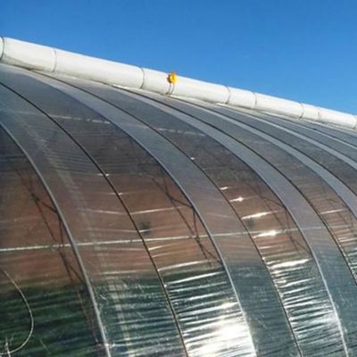 زيوت التشحيم SGS PVC أحادي الجليسريد المقطر DMG95 GMS99 للكيماويات المنزلية
