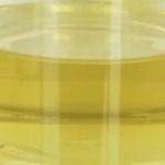 مثبت معدل زيوت التشحيم Pentaerythrityl Oleate PETO Liquid CAS 19321-40-5