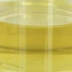 مثبت معدل زيوت التشحيم Pentaerythrityl Oleate PETO Liquid CAS 19321-40-5